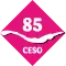 Logo diamant
