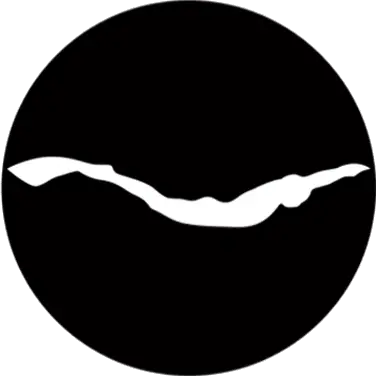 Logo nage avec palme