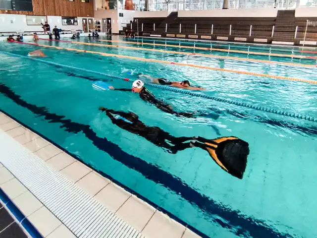 Entraînement de nage avec palmes en piscine : nageurs du club en monopalme et avec planche dans les lignes d'eau
